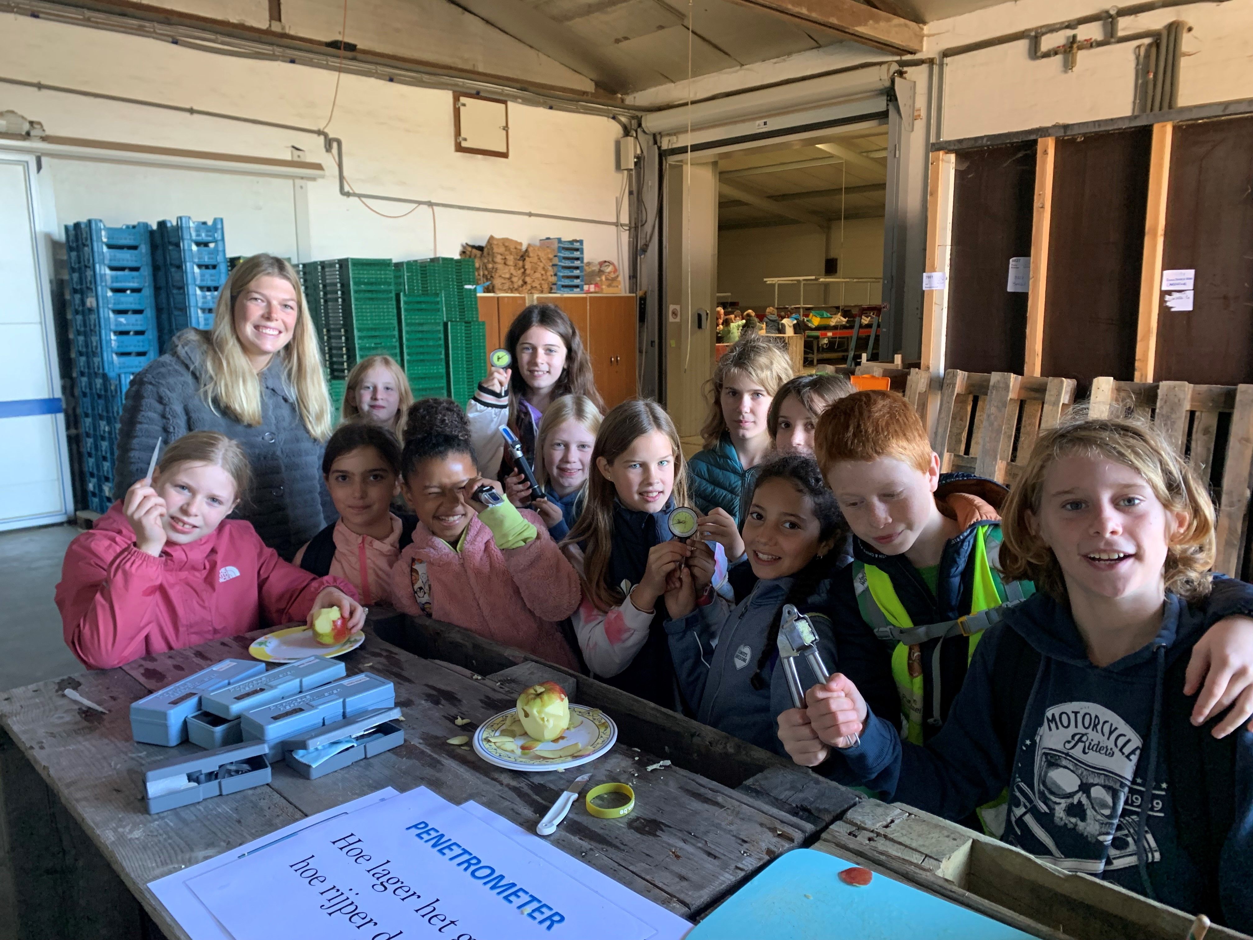 De leerlingen van basisschool De Boemerang uit Meerbeek bezochten op 6 oktober frhet fruitbedrijf Van der Velpen in Bierbeek