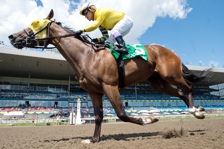 Patches O'Houlihan and jockey Daisuke Fukumoto winning the Lake Superior Stakes on July 30, 2023 at Woodbine (Michael Burns Photo)