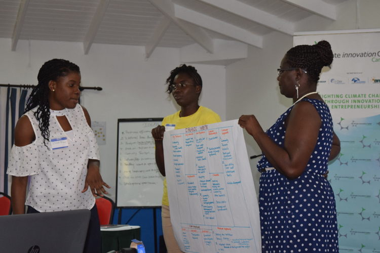 Entrepreneurs engage in Business model generation activities.