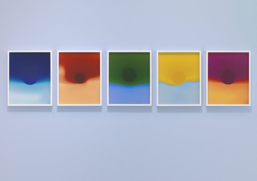 Gilleam Trapenberg, New Sun Series, 2020