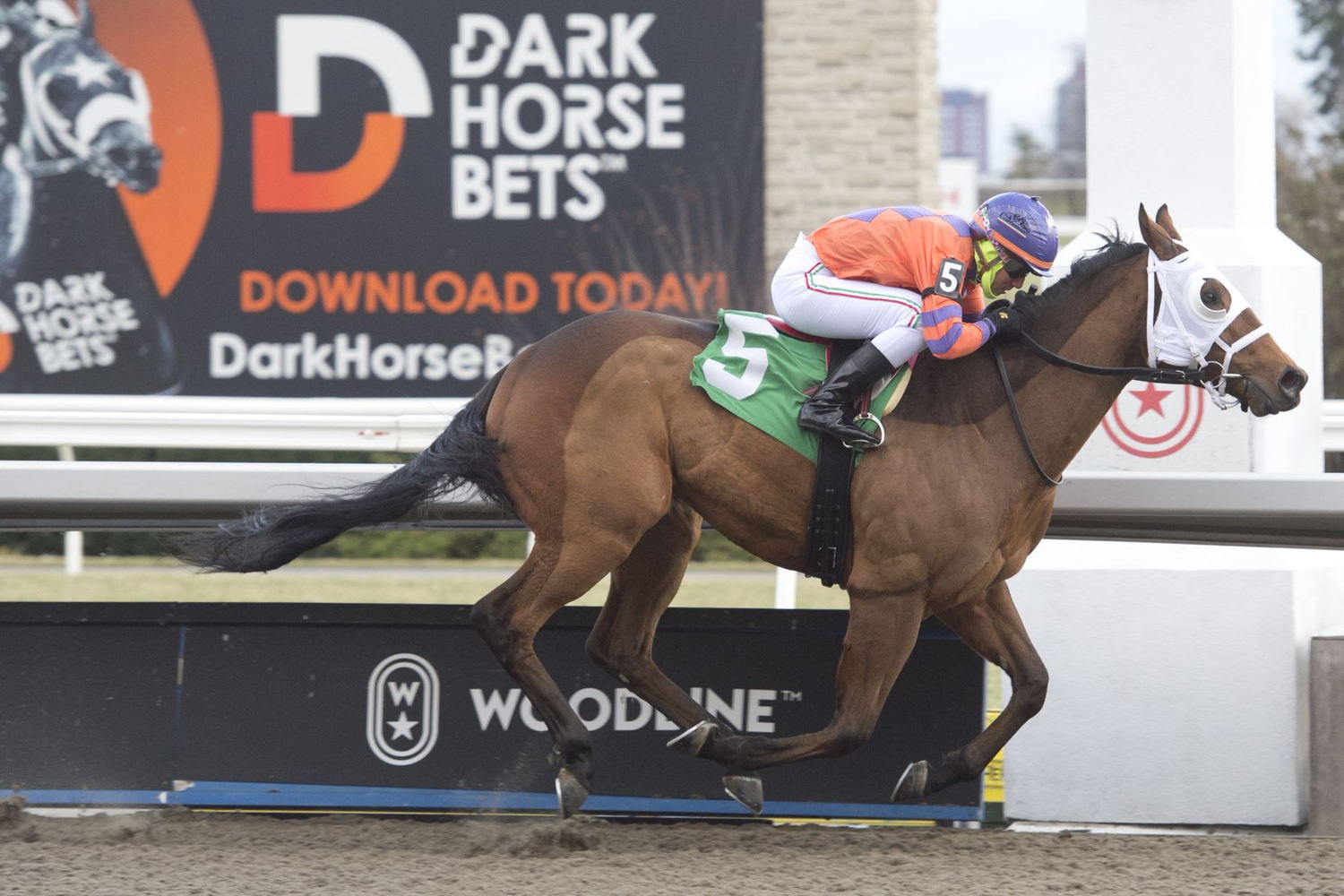 Light the Lamp and jockey Luis Contreras winning on the Woodbine Tapeta on December 3, 2023 (Michael Burns Photo)