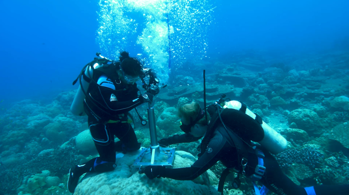 underwater coral drilling start_ImageCredit_Jason Turl.jpg