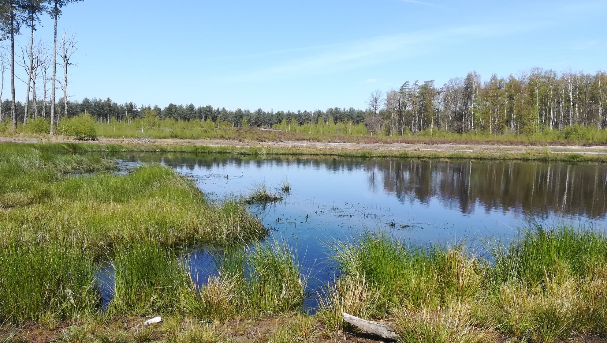 Averbode Bos en Heide - De Merode