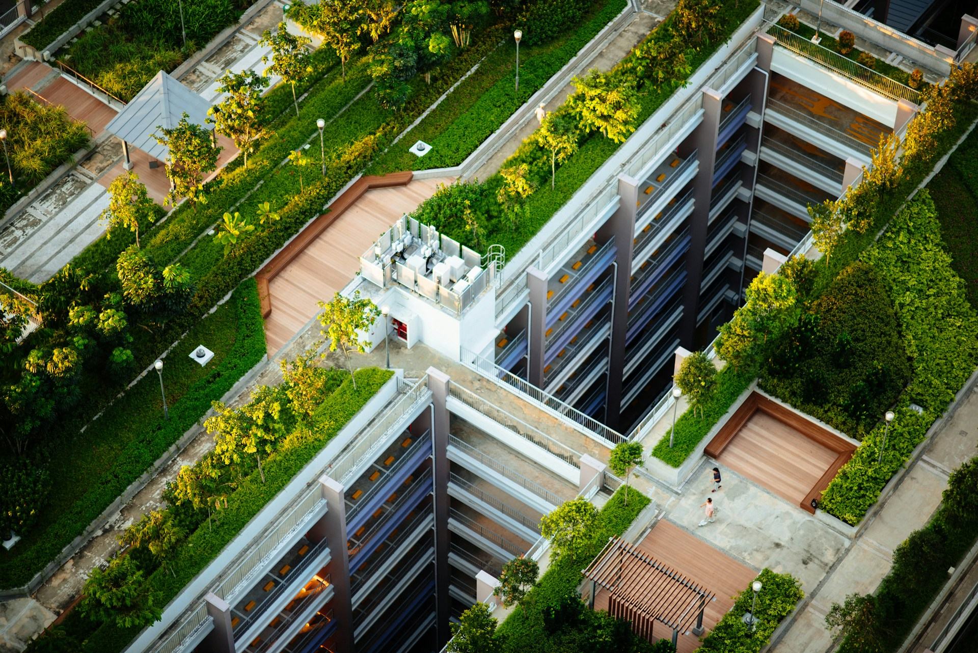 Infraestructura del Futuro: México ante la oportunidad de acelerar proyectos sostenibles con tecnología 