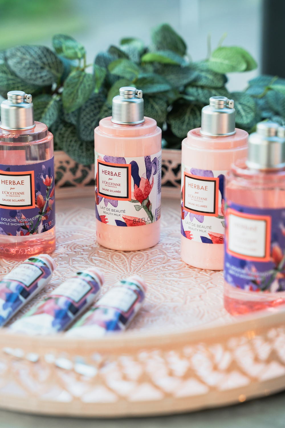 L'Occitane Herbae
