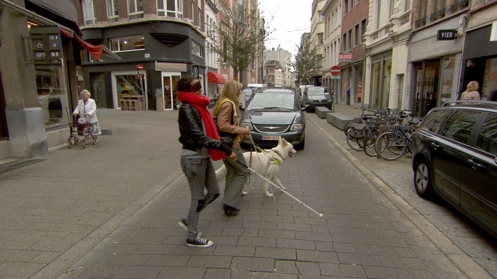 (c) VRT