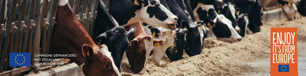 2 op de 3 Belgen vinden dat melkveehouders klimaatvriendelijk produceren