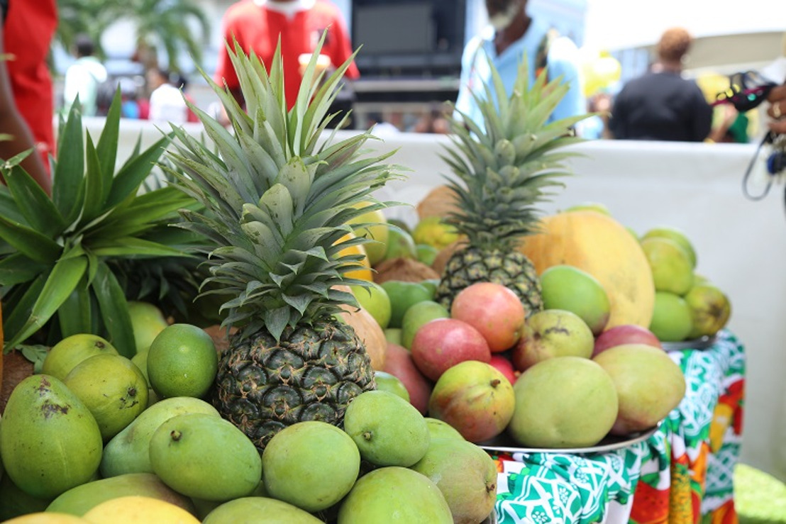 First Saint Lucia Mango Festival gathered 500 visitors !
