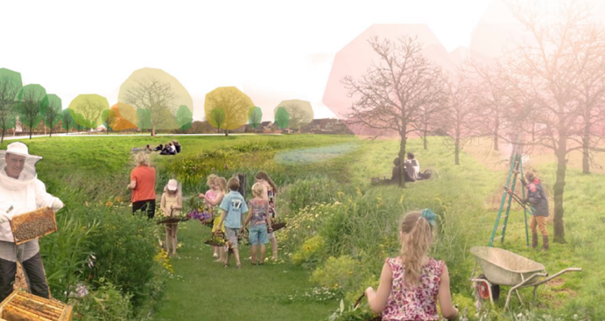 In de poldertuin beleef je het typerende landschap. ​ ©Wim De Baene ​ (provincie Antwerpen)