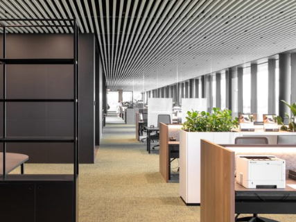 Nouveau système de plafond vektron ili pour les constructions durables 