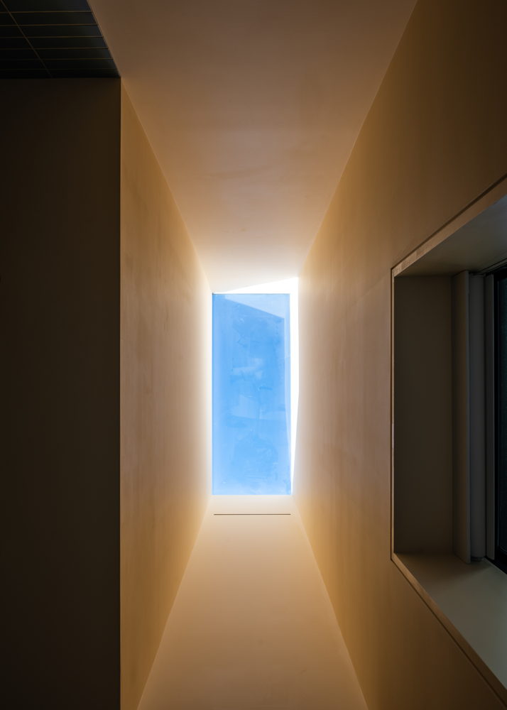 Photo by Alan Tansey