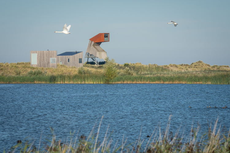 Landal_Marker-Wadden
