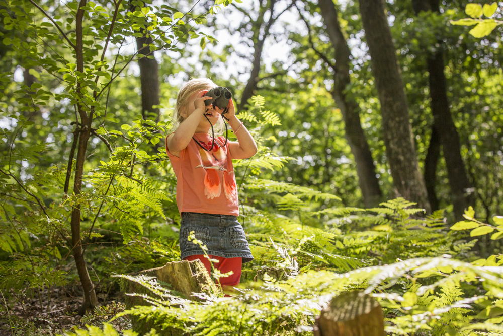 Landal GreenParks Vakantieparken XL