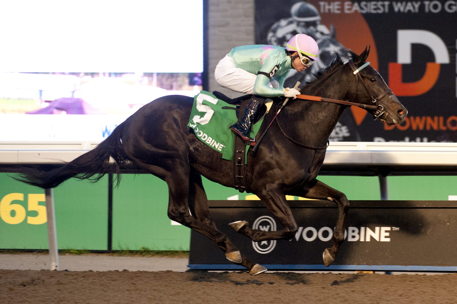Olivia Rose and jockey Kazushi Kimura winning the South Ocean Stakes on October 28, 2023 at Woodbine (Michael Burns Photo)