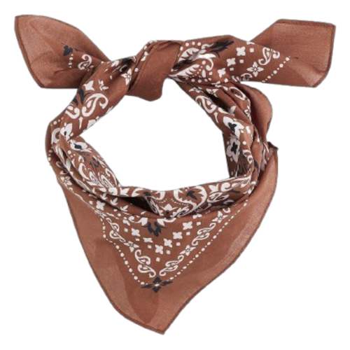La Redoute Collections_GNM725_19.99EUR