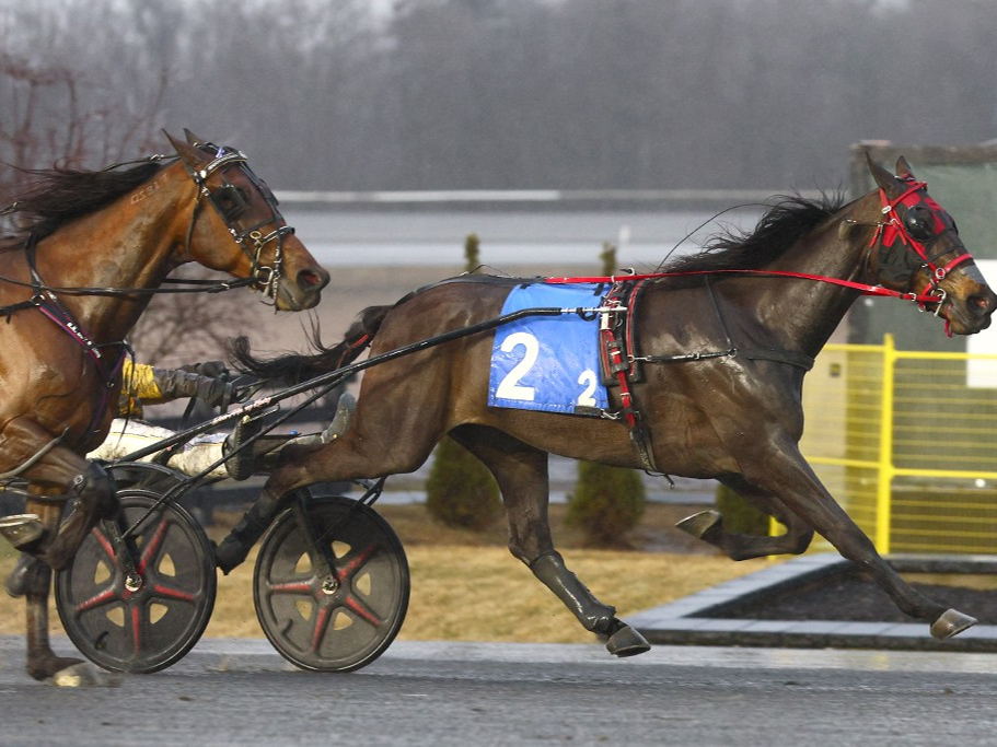 Woodbine Mohawk Park card cancelled after six; New Rules takes New Holland Final