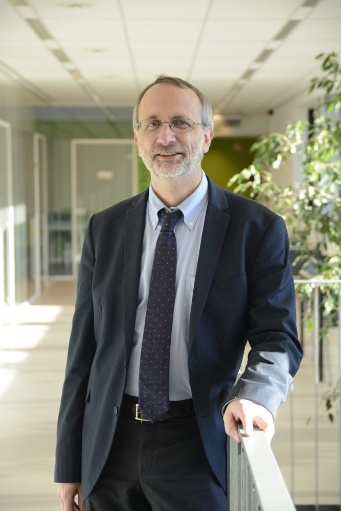 prof dominiek reynaerts