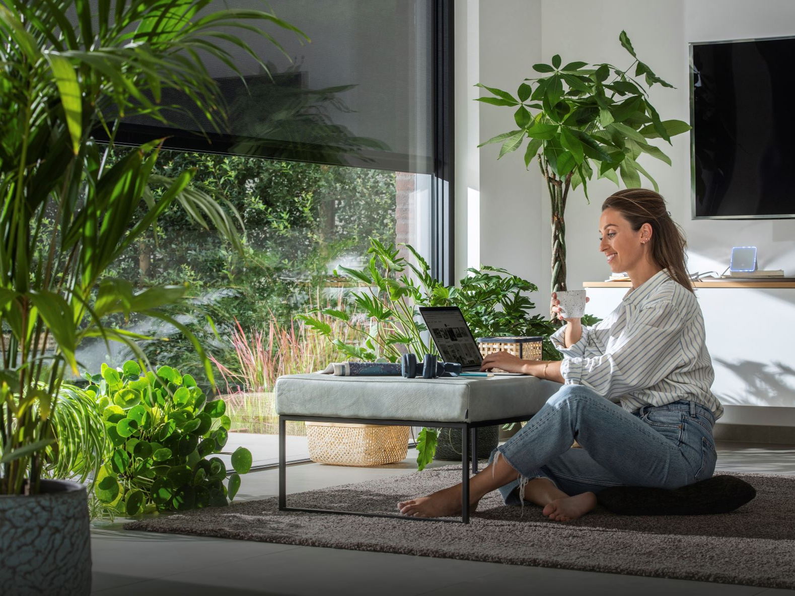 Le secteur des protections solaires augmente à nouveau de 30%