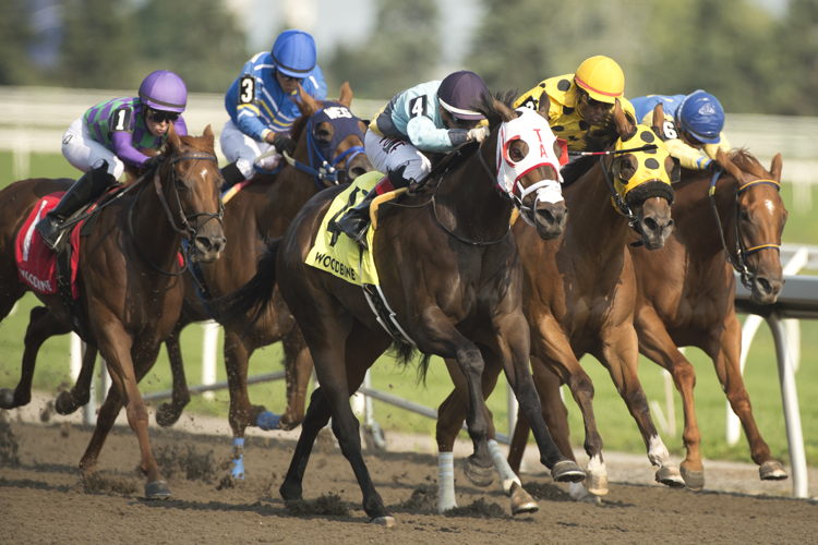 Pleasure's Gold and jockey Rafael Hernandez winning the Bellade Stakes on July 13, 2024 at Woodbine (Michael Burns Photo)