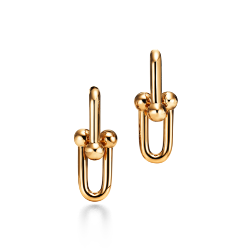 Tiffany & Co. - Tiffany Hardwear large link earrings