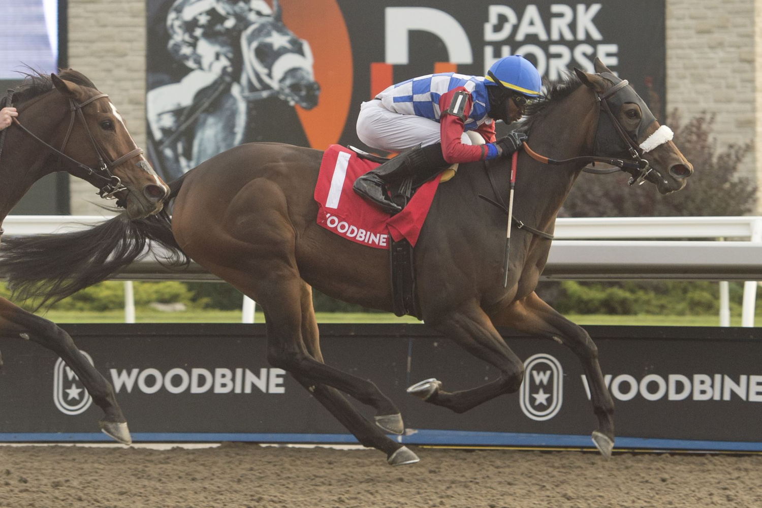Hazelbrook and jockey Jason Hoyte winning the Ontario Fashion Stakes on October 15th 2022 at Woodbine (Michael Burns Photo)