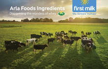 Arla Foods Ingredients agrees new whey partnership with First Milk