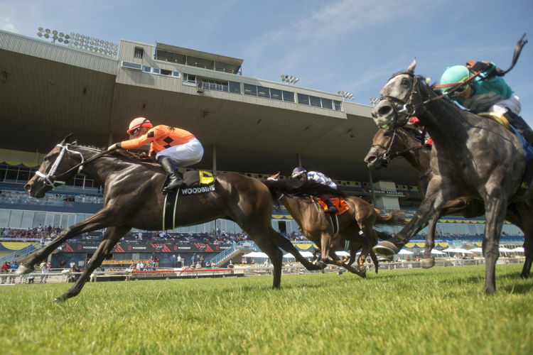 Mohawk Trail and jockey Adam Beshizza winning the Alywow Stakes on June 25, 2023 at Woodbine (Michael Burns Photo)