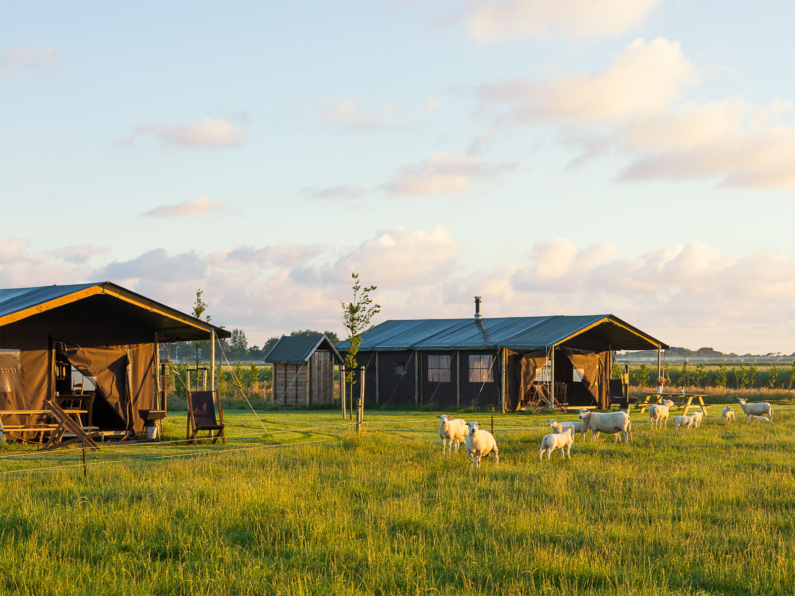 Désormais, les clients Roompot peuvent camper luxueusement à la ferme