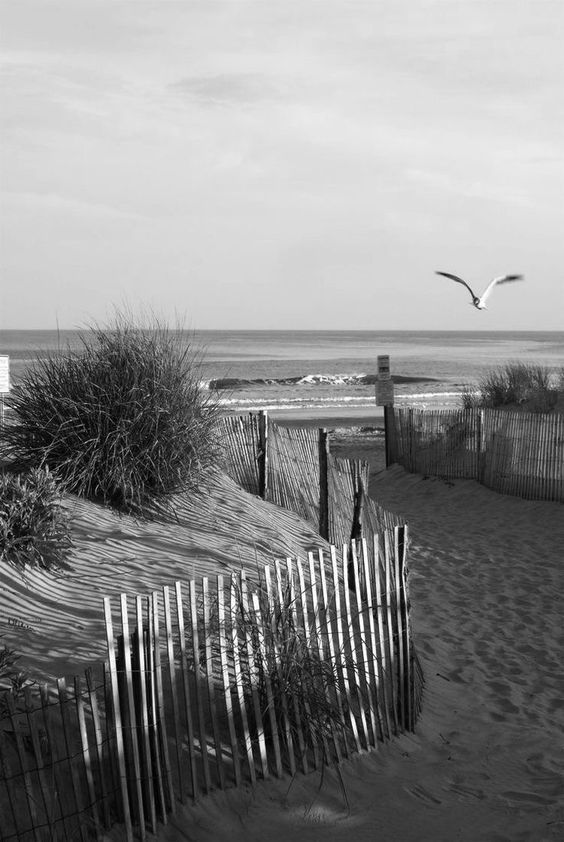 IONNYK - Knokke  (5)