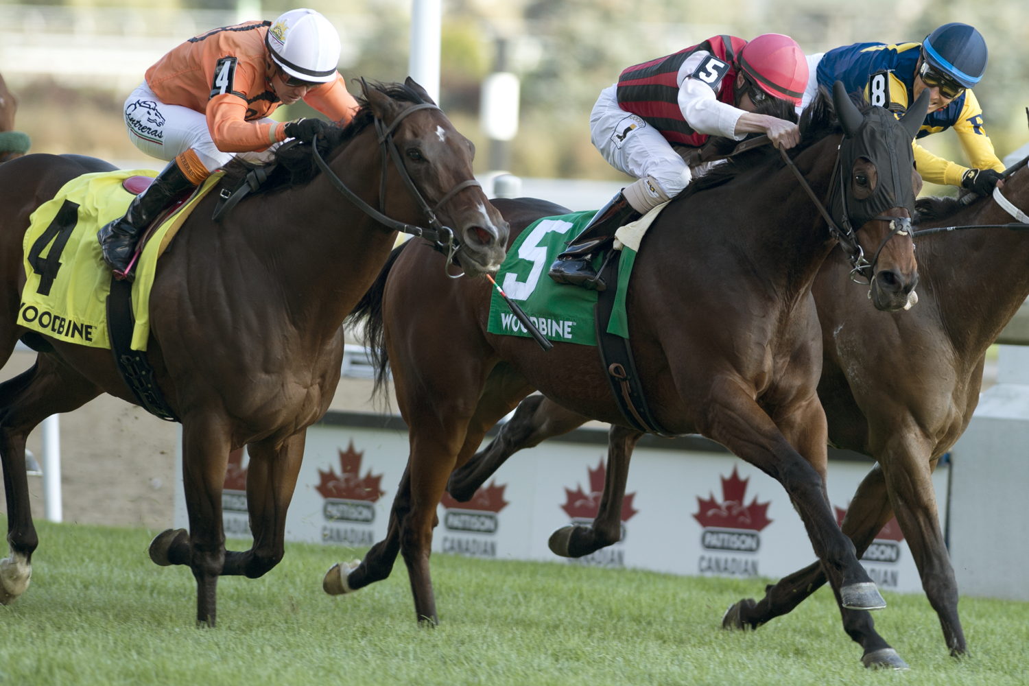 City Boy winning the 2019 edition of the Nearctic Stakes at Woodbine. (Michael Burns Photo) 