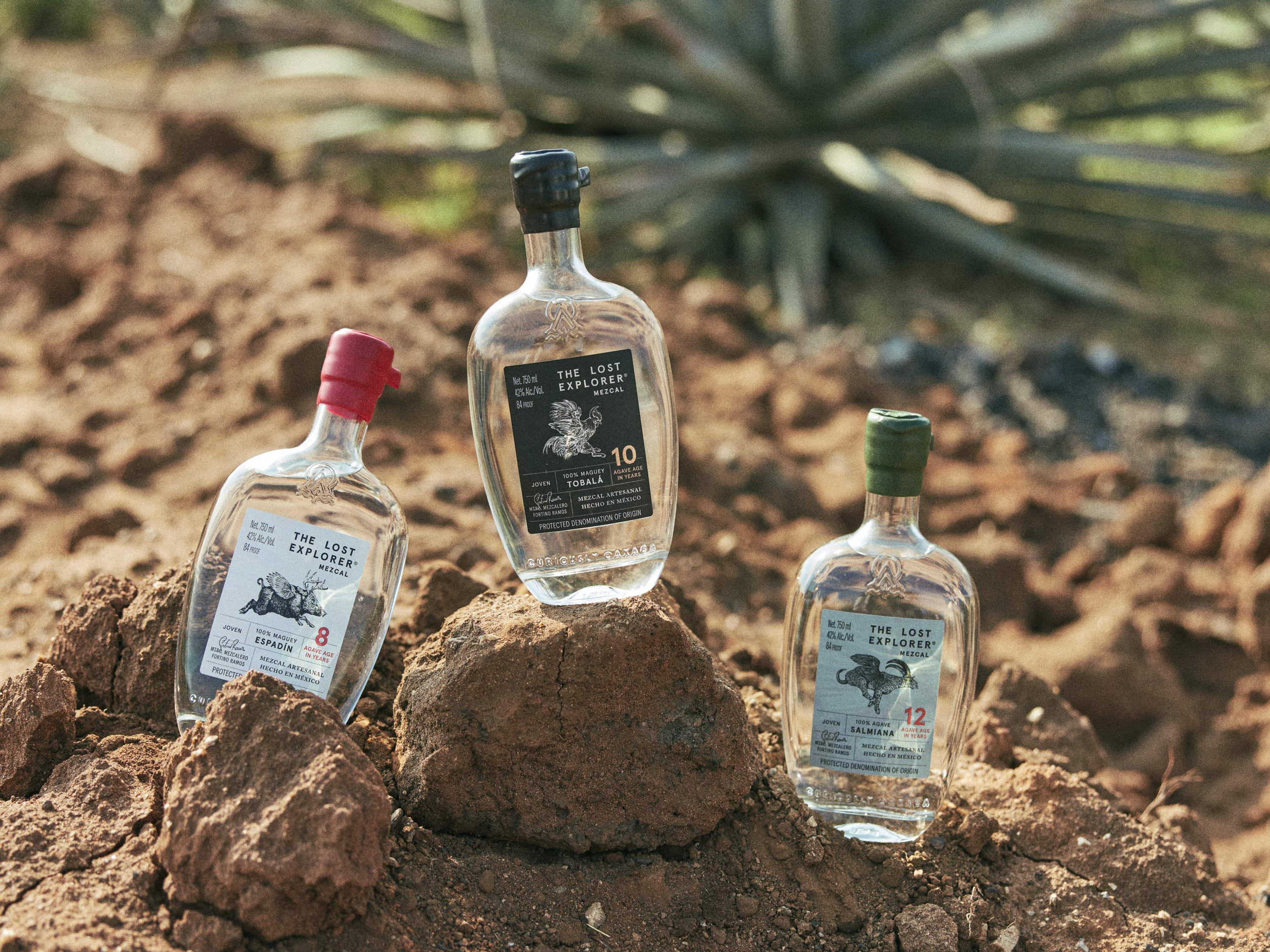 ¿Amante de las Margaritas? Descubre tres versiones para disfrutar con estilo. 