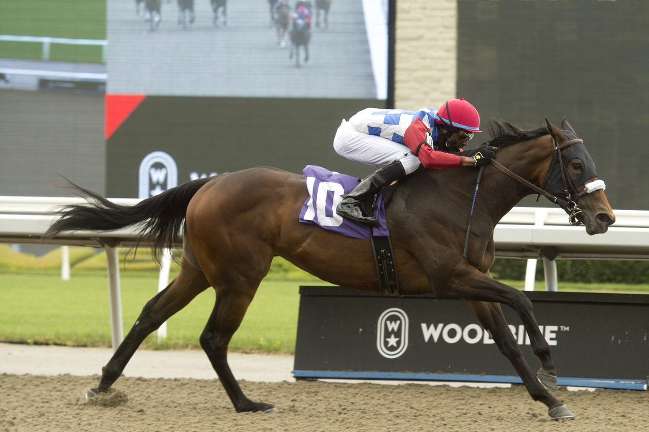 Hazelbrook in action on June 19, 2021 winning at Woodbine. (Michael Burns Photo)