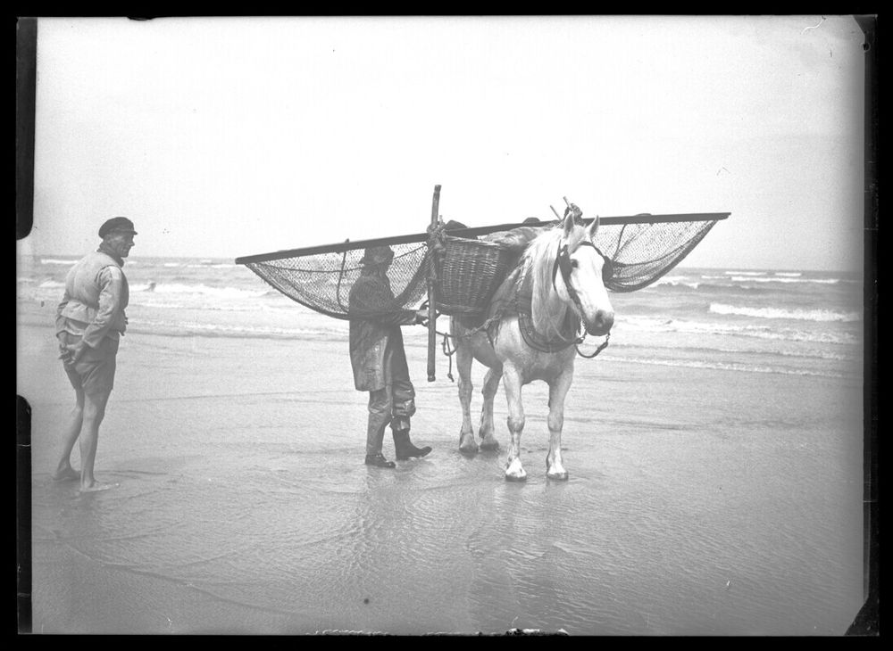 Anoniem, 01-07-1956, Oostduinkerke: Garnaalfeest, IGA Poperinge-Vleteren, CC-BY Drukkerij Sansen.