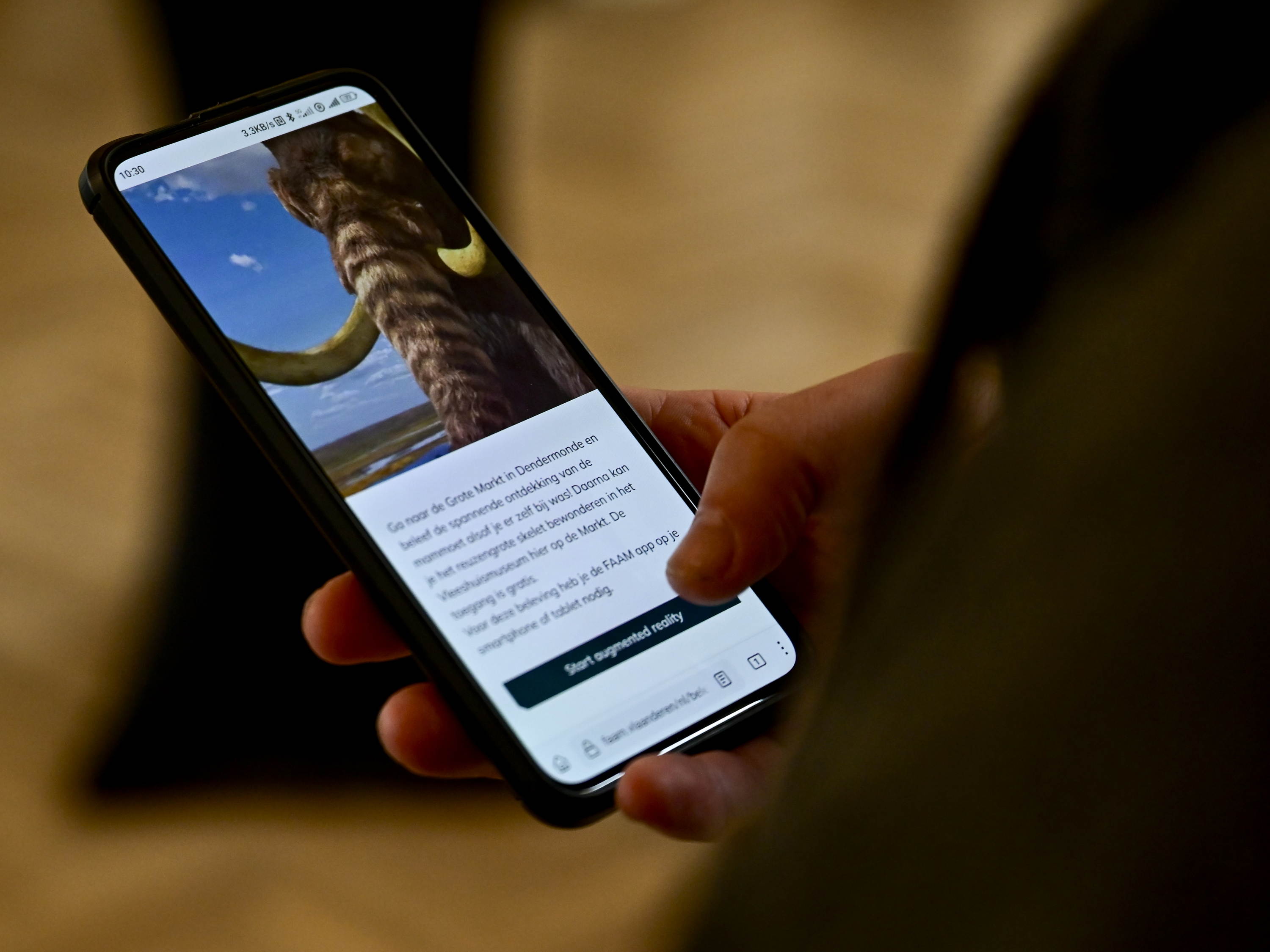 Virtual Museum of Flanders receives more than 400,000 visits in first year