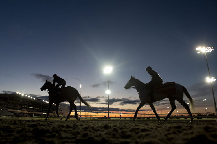 Horses prep for Opening Day 2025 (Michael Burns Photo)