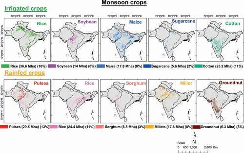 Spatial distribution of crop extent on irrigated and rainfed croplands in South Asia during the kharif (monsoon) season of 2014–15. 