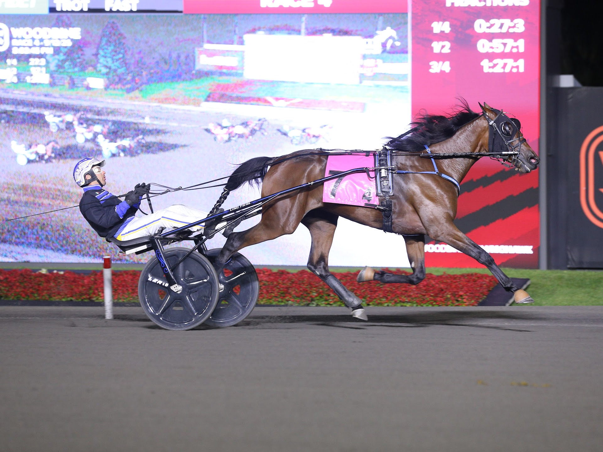 Denarius, Shimmering Hanover Victorious in Champlain Filly Trots