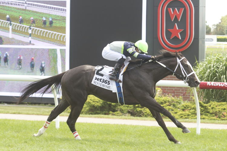 Live Lucky and jockey Kazushi Kimura winning the Lake Huron Stakes on July 7, 2024 at Woodbine (Michael Burns Photo)
