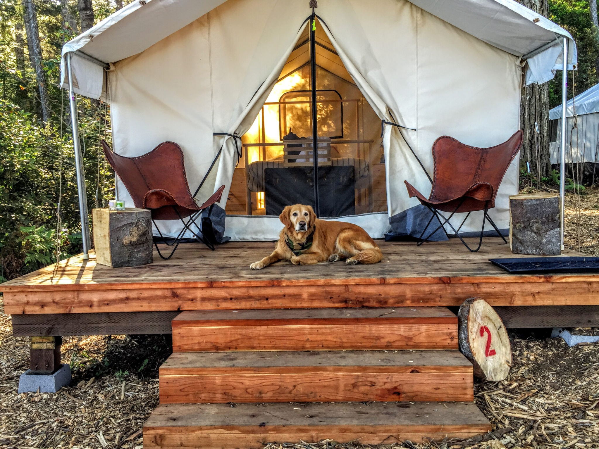 Mendocino Grove, Mendocino, CA