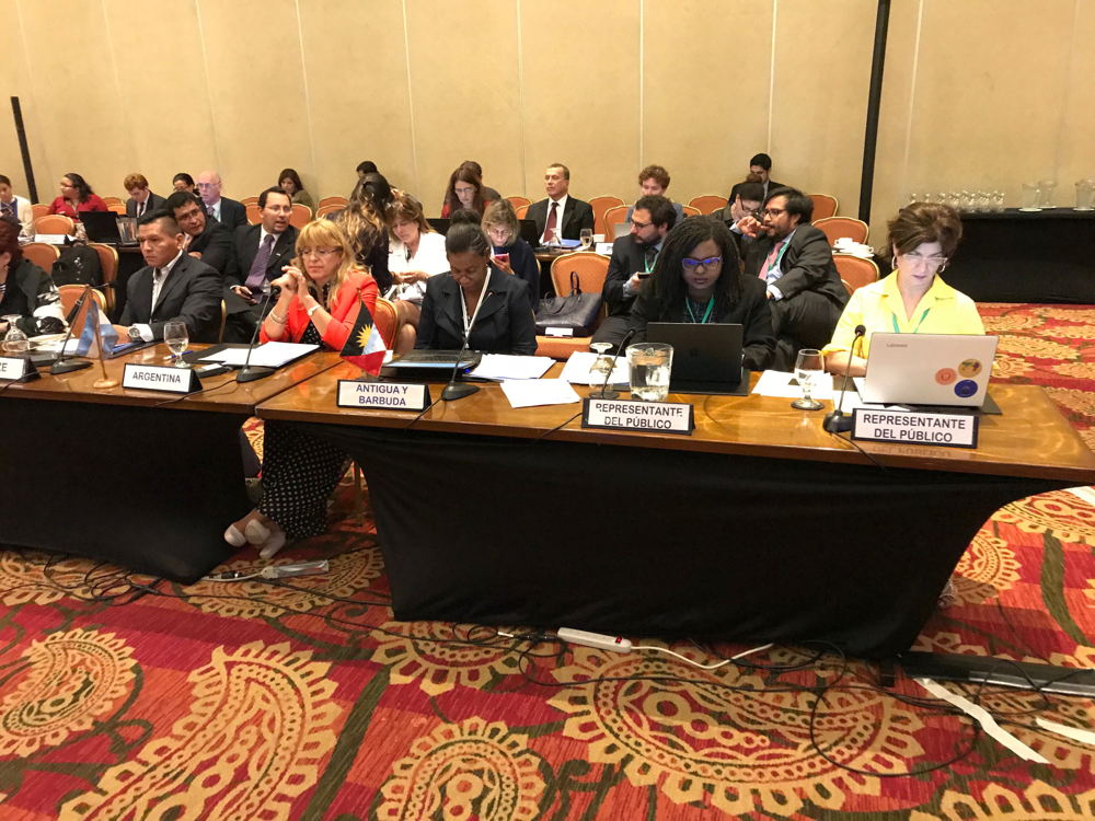 Meeting on the Escazu Agreement
