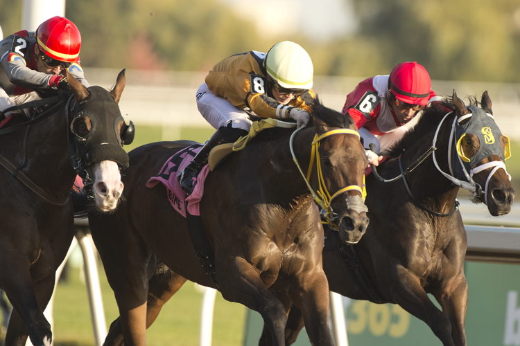 Unbridled Weather and jockey Fraser Aebly winning the Frost King Stakes on October 20, 2024 at Woodbine (Michael Burns Photo)
