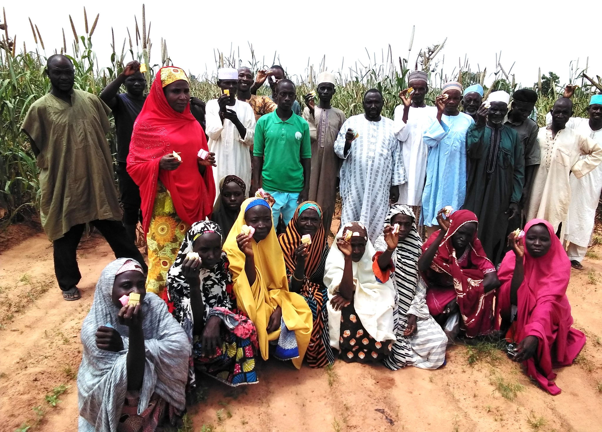 Participants during the selection process of new crop varieties. Participants during the selection process of new crop varieties.