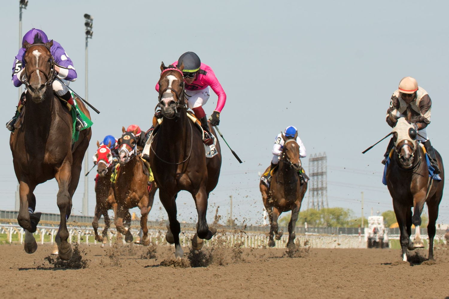 Artie’s Storm was superb in capturing the Grade 2 Stella Artois Eclipse Stakes at Woodbine on Sunday, May 29 for trainer Paul Buttigieg and jockey David Moran. (Michael Burns Photo)