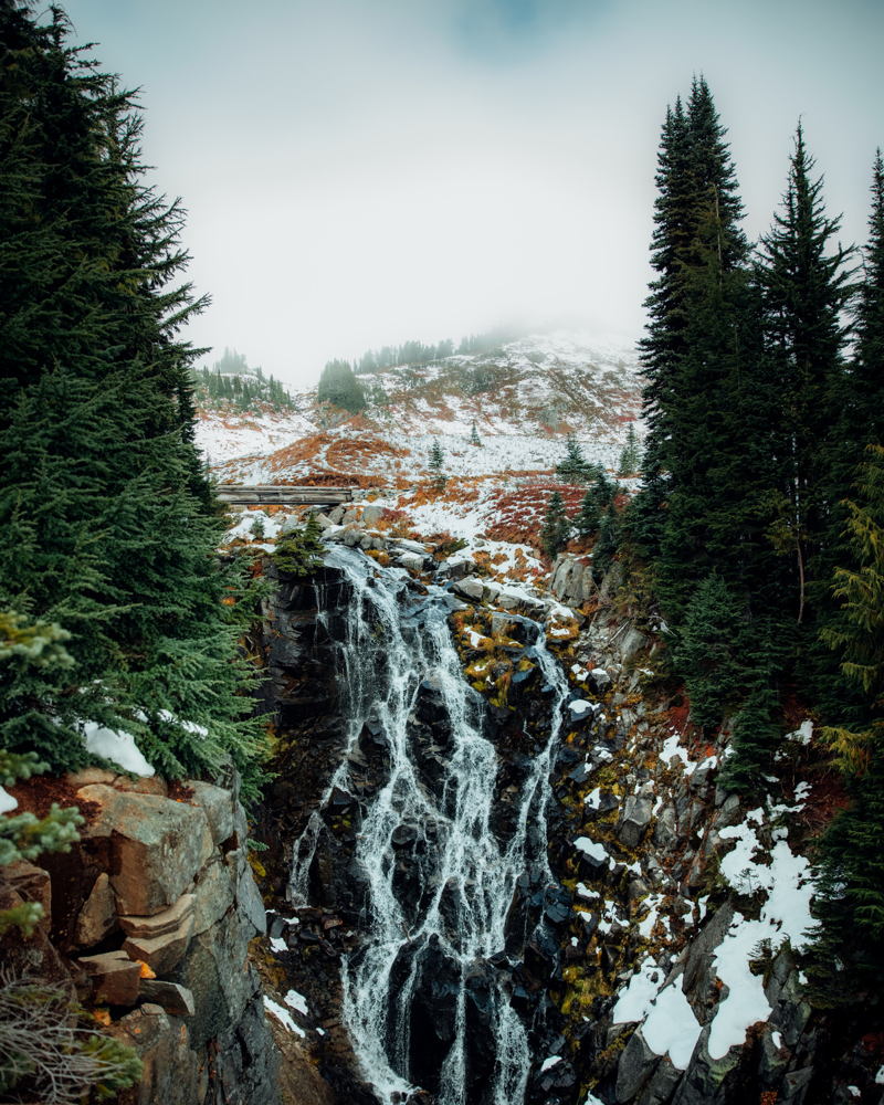 Mount Rainier, WA