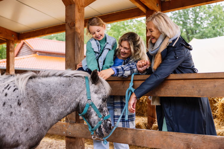 LJE Paarden