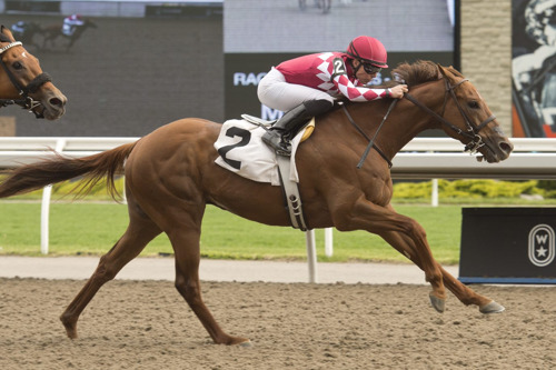 Preview: Stakes superfecta showcase set for star-stacked Saturday Woodbine card