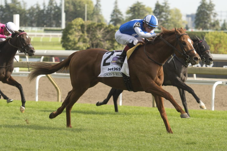 Carson's Run and Dylan Davis winning the Grade 1 Summer Stakes on Saturday at Woodbine Racetrack. (Michael Burns Photo)
