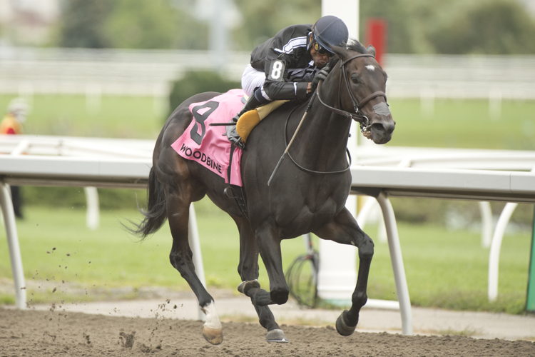 Stormcast and jockey Patrick Husbands winning the Bison City Stakes on August 10, 2024 at Woodbine (Michael Burns Photo)