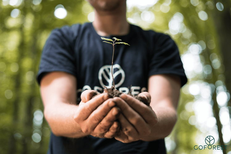 Tree planting Go Forest