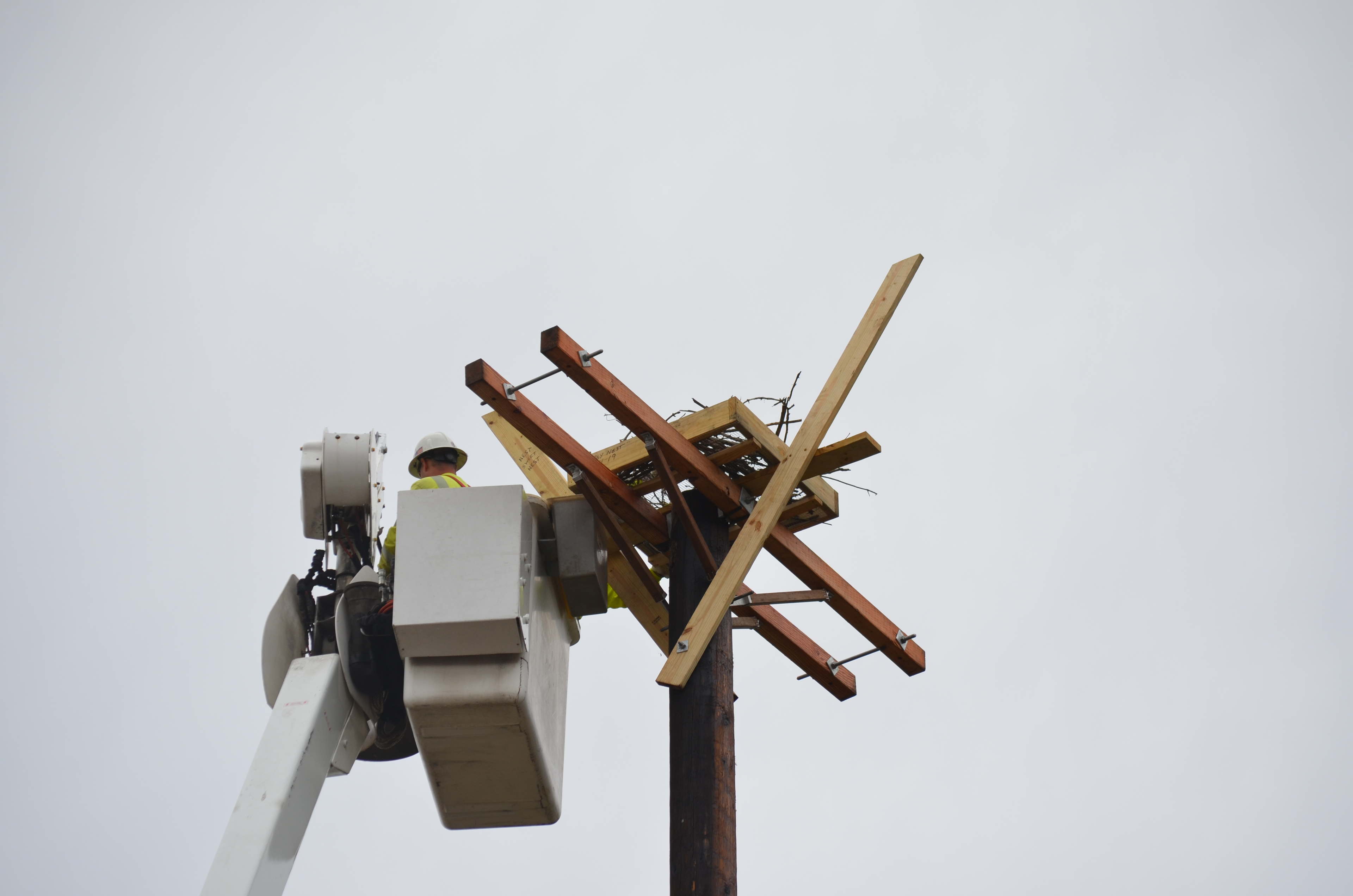 Duquesne Light Company Protects Local Nesting Osprey 